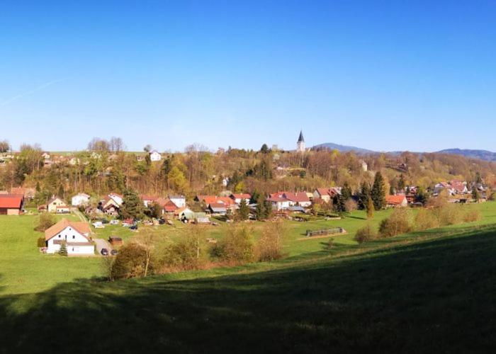 Unsere Ferienwohnung Stefan im Riesengebirge! Dolni Lanov Exterior foto